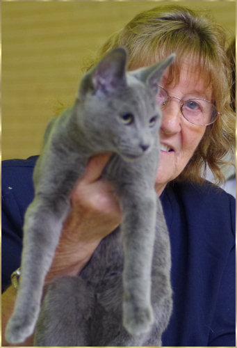 Cat at Show