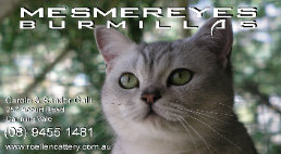 Mesmereyes Banner