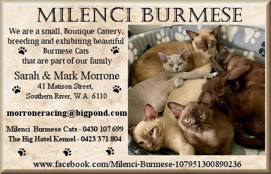 Milenci Burmese Banner