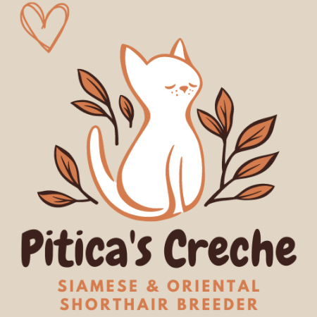 Piticas Creche
