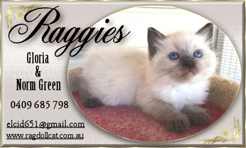 Raggies Banner