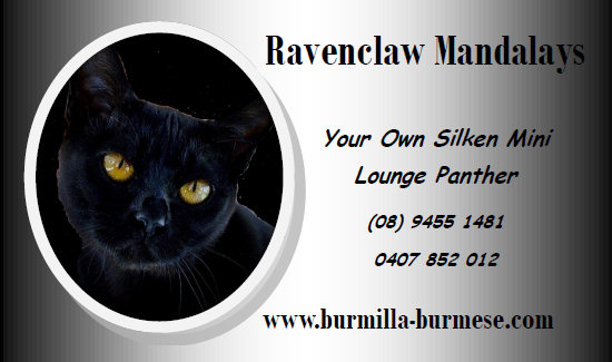 Ravenclaw Mandaley Banner